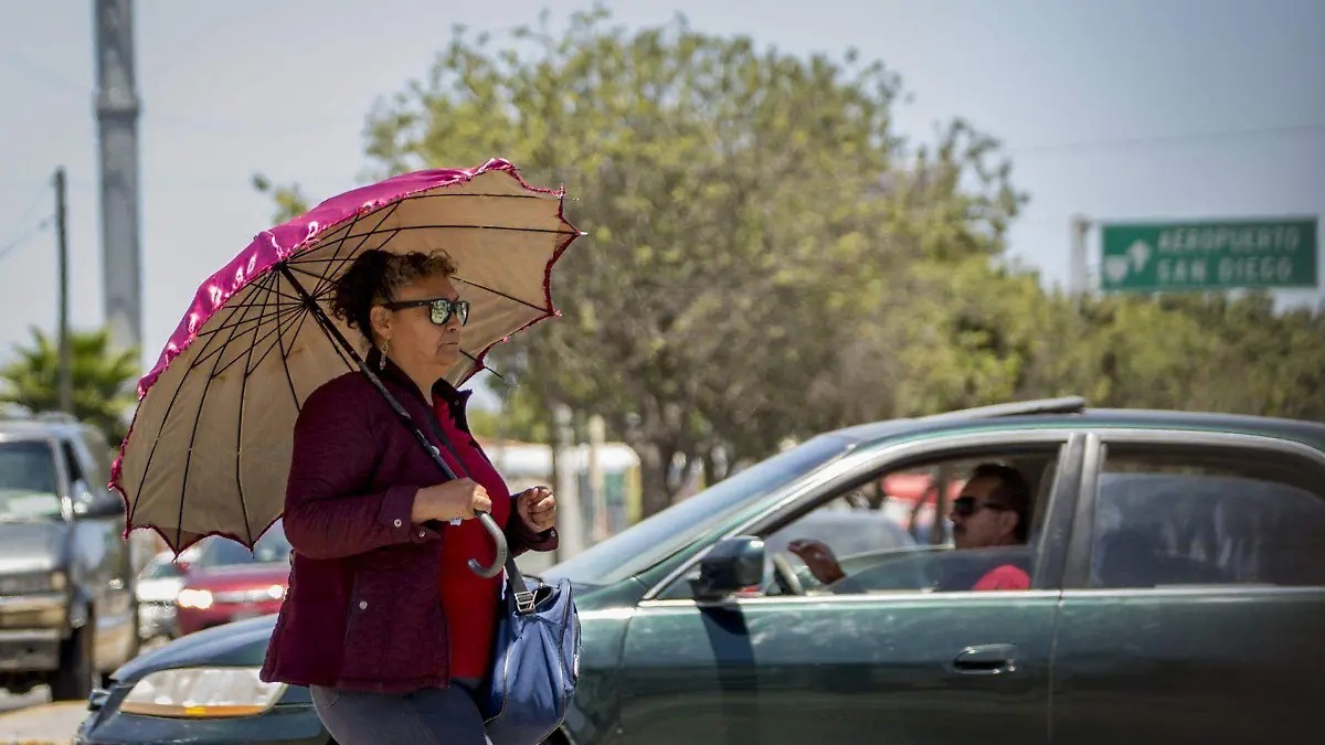 655473_Calor Tijuana-3_web